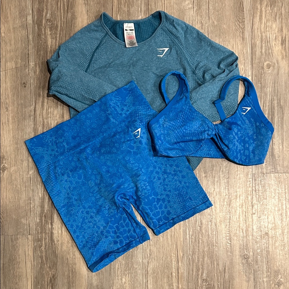 Gymshark Adapt Whitney Set & Coordinating LS Crop Top